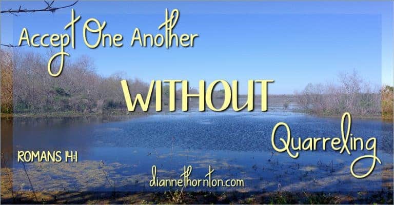 How do you feel about believers who live differently from you? Do you argue over right and wrong? Or do you accept one another without quarreling?