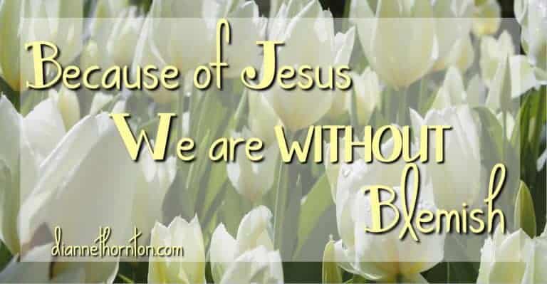 What do you see when you look in the mirror? Do you see your faults? When God looks at you through the blood of Jesus, He sees you WITHOUT blemish!