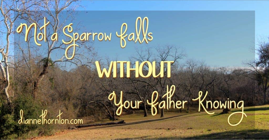 You are deeply loved by God. Not a sparrow falls without your Father knowing about it--but He loves YOU MORE! You have nothing to fear!