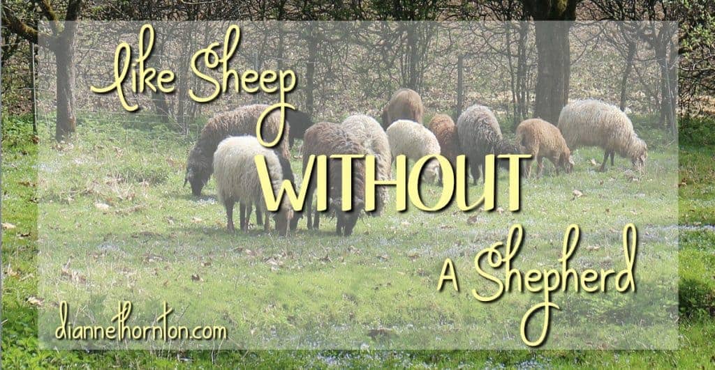 How is life going for you? Are you focused on your plan? Have you got it figured out? Or are you lost? Without Christ, we are like sheep without a shepherd.