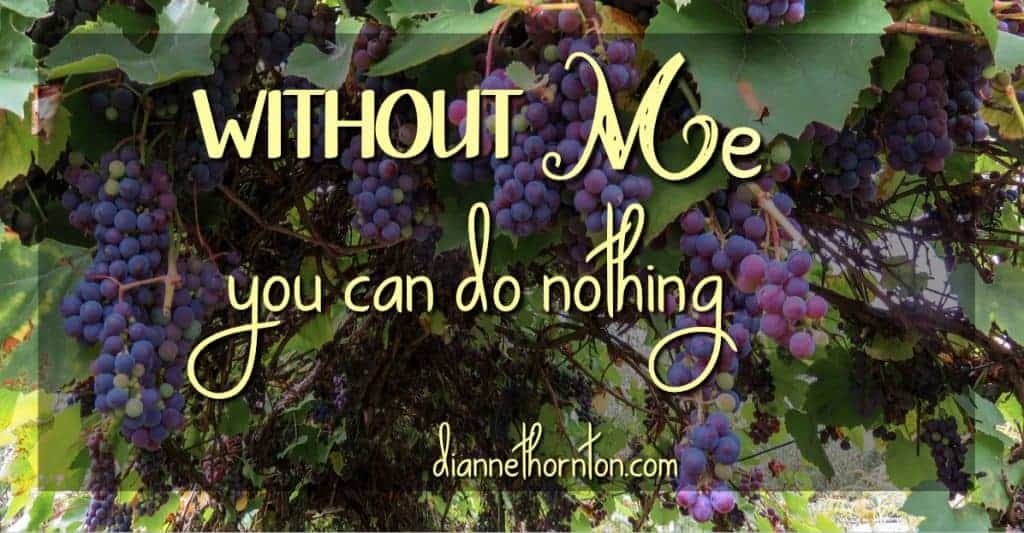 Have you ever found yourself busy serving God but feeling ineffective? Are you connected to Christ? Remember what He said, Without me you can do nothing!