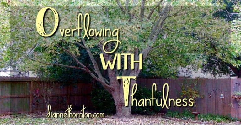 Thanksgiving is around the corner. Are you ready? Here are 3 steps to overflow with thankfulness!