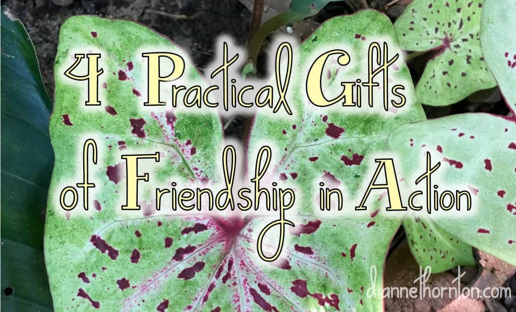 Friendship is a gift. Often we don't recognize the gifts that accompany it until we are in a crisis. Here are 4 practical gifts of friendship in action.