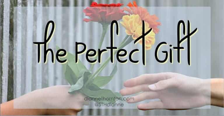 God is the Giver of every good and perfect gift. What is the perfect gift? Read on to find out!