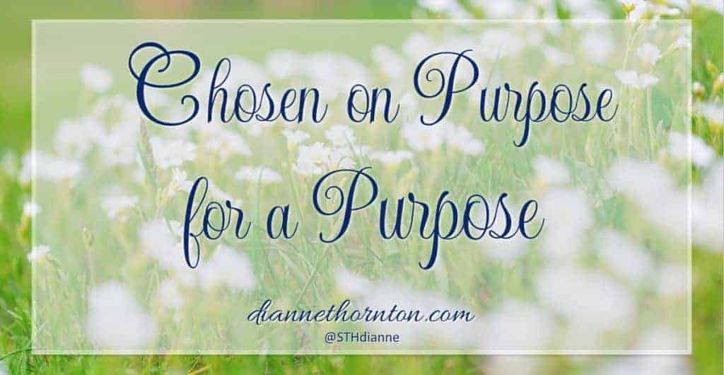 Do you know that you were chosen by God? Chosen on purpose for a specific purpose. You were, you know. He chose you to produce fruit--that will last!