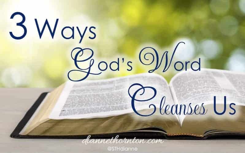 God's Word Cleanses Us. When we sit before Him, looking carefully at His perfect Word--which gives freedom--how do we respond when He shines His light on sin in our lives?